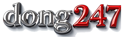 dong247 logo